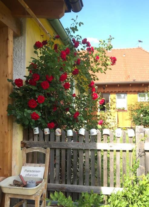 Ferienhaus Mit Garten In Thermennaehe Strebersdorf Eksteriør billede